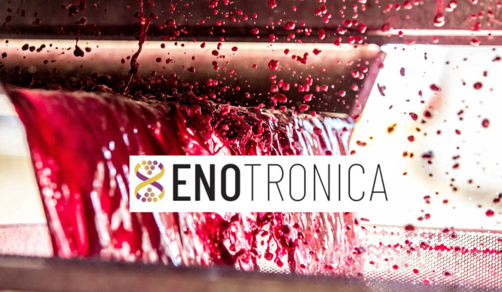 logo_enotronica